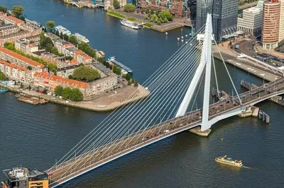 Rotterdam & Kinderdijk: A Day of Modernity and Windmills