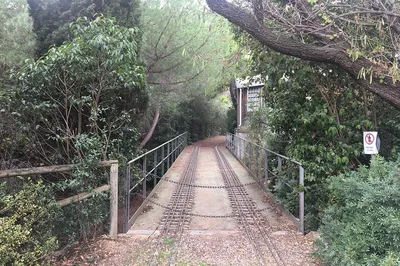 Unlock Barcelona's Secrets: A Photography Adventure in Collserola