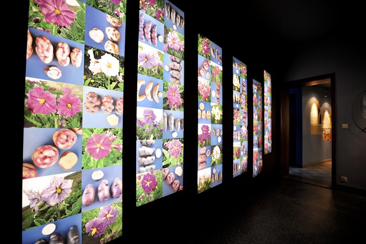 Experience Image img2