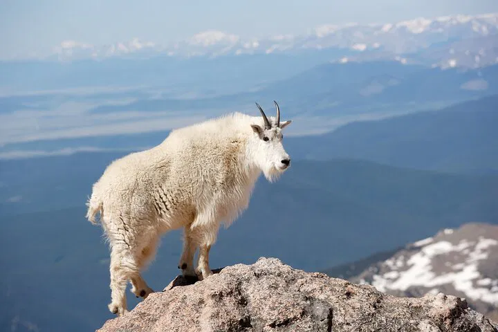 img0
