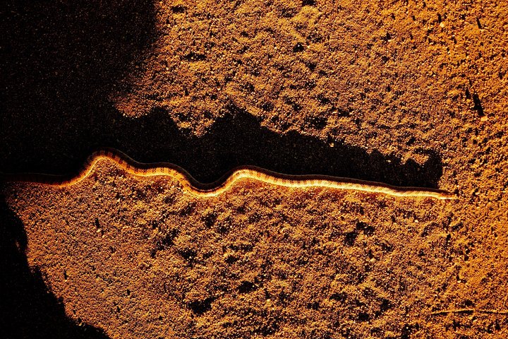 Experience Image img2