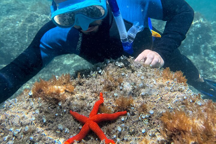 Experience Image img4