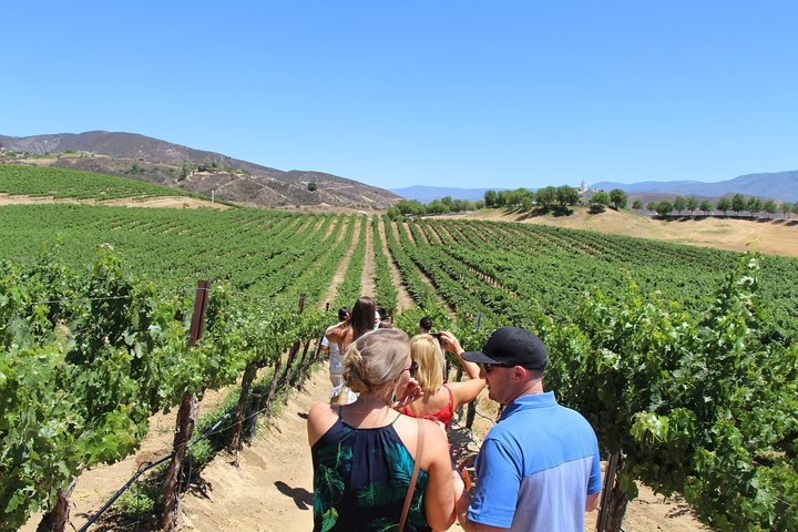 Experience Image img2