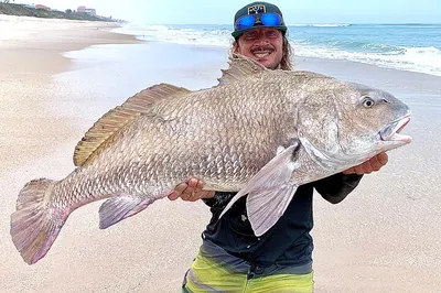Cast Away Fun: Cocoa Beach Shark & Surf Fishing Adventure