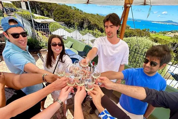 Waiheke Island Wine & Dine: A Scenic Vineyard Tour with Gourmet Lunch