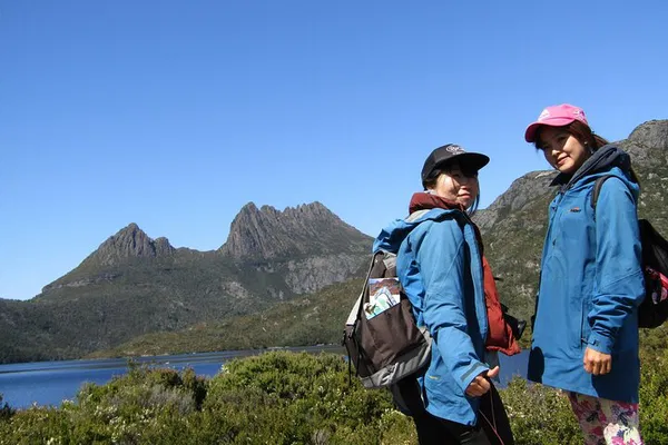 Cradle Mountain Day Trip: Walks, Views & Wombats!