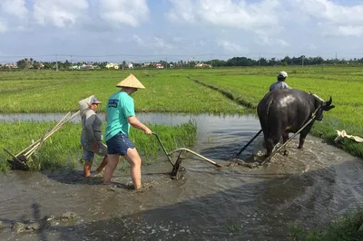 Discover Hoi An's Charm: Country Life, Crafts & Culinary Delights