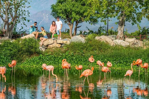 VinWonders Nha Trang: Skip the Line Tickets & Cable Car Ride!