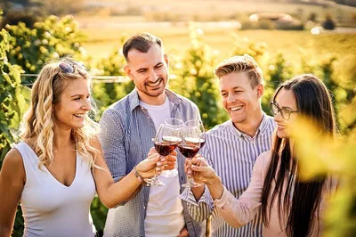 Lake Garda's Wine & Wheels: A Pedal-Powered Paradise