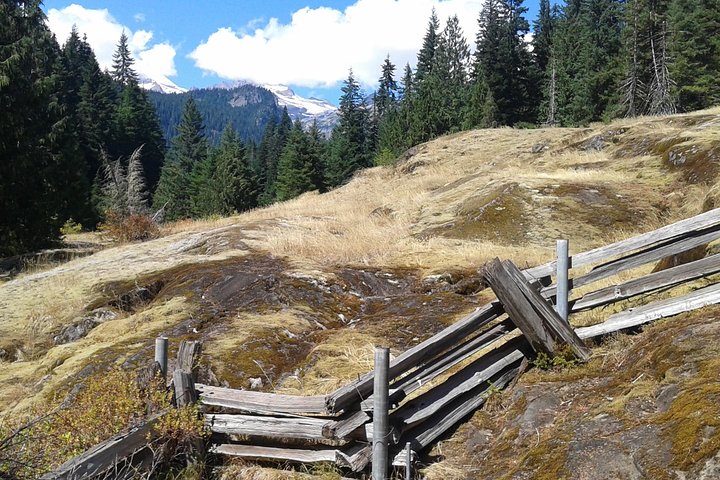 Experience Image img4