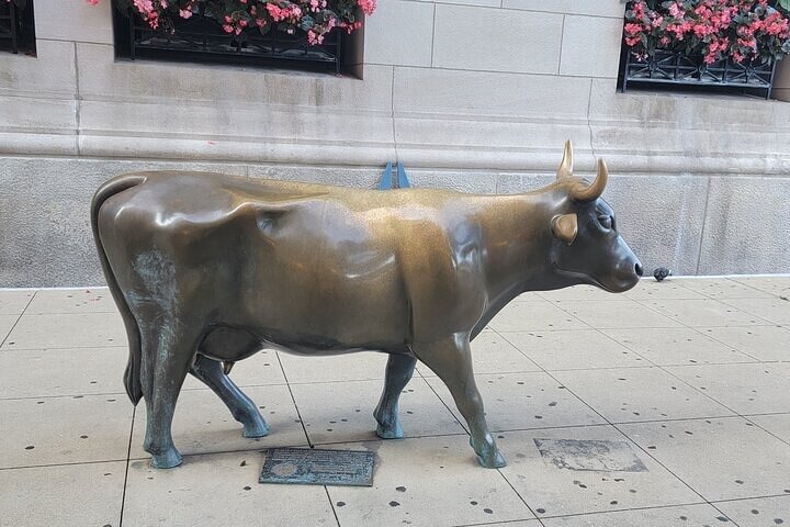 Experience Image img4