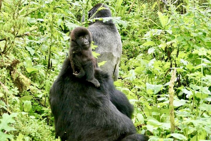 Experience Image img4