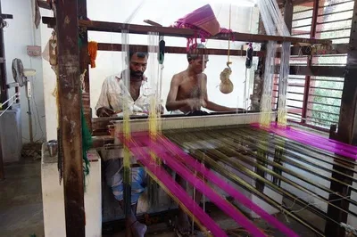 Unveiling Chennai's Cultural Gems: Silk, Temples, and Organic Farms