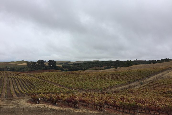 Experience Image img2