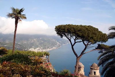 Discover Amalfi Coast's Charms: A Private Mercedes Van Tour from Naples