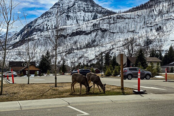 Experience Image img2