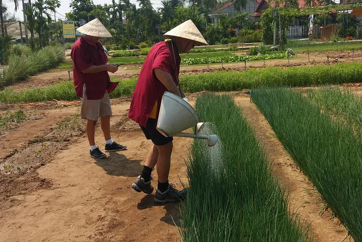 img0