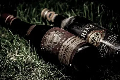 Valpolicella's Vineyards: A Family's Food and Wine Affair