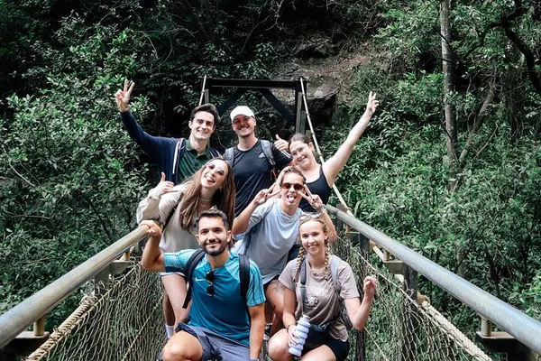 Springbrook Waterfalls Tour: Hike 7 Falls & Natural Bridge