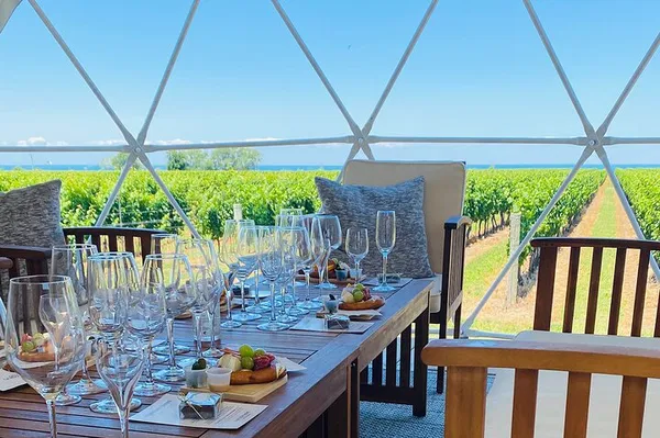 Niagara Vineyard Dome: Private Wine & Charcuterie