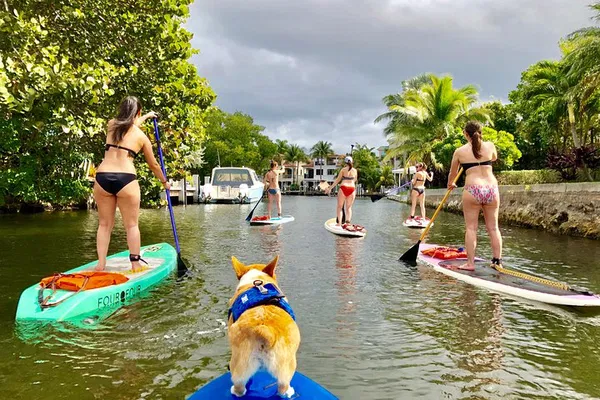 SUP PUP Adventure: Paddleboard with Mr. Beaches in Fort Lauderdale