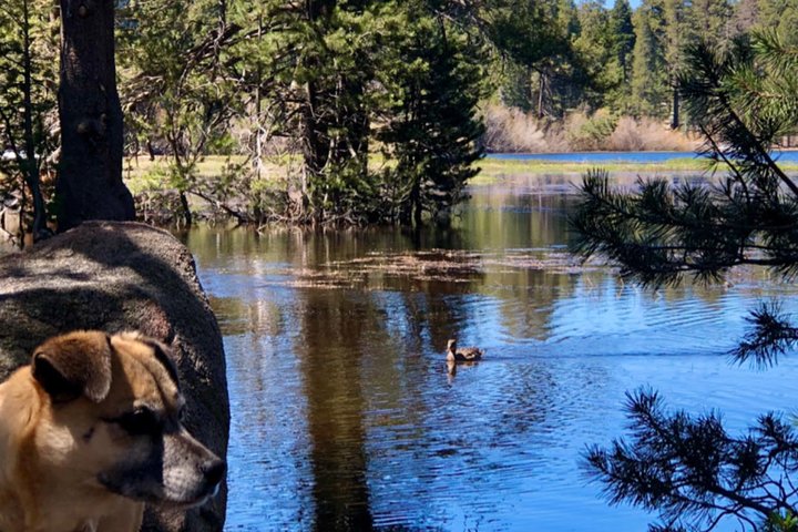 Experience Image img4