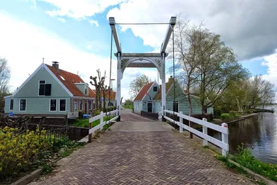 Uncover Hidden Gems: A Private Dutch Landscape Excursion