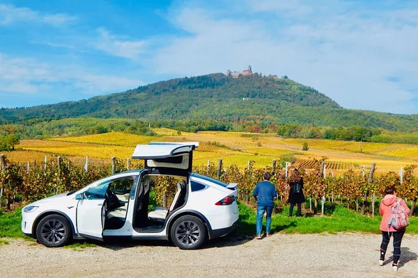 Alsace Private Tour: Castle, Wine & Villages