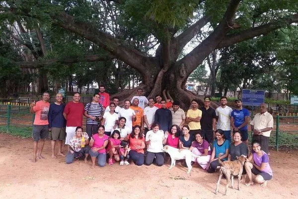 Uncover Bangalore's Green Heritage: Lalbagh & Cubbon Park Walks