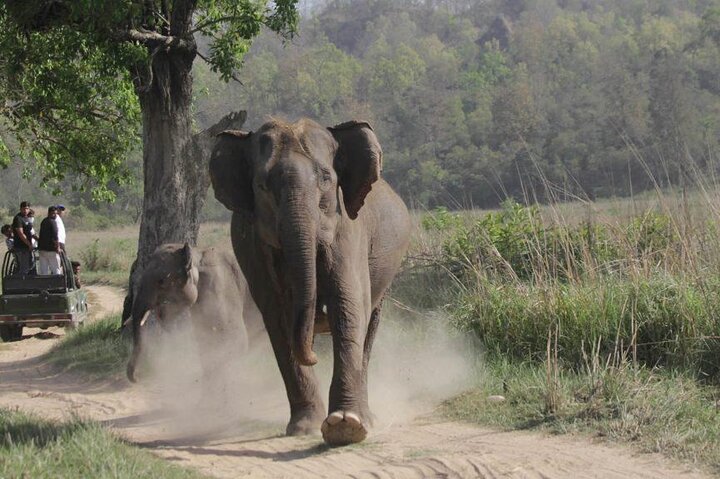 Experience Image img4