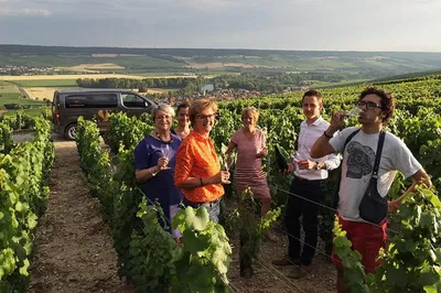 Champagne Tour: Taste 9 Champagnes at 3 Family Farms