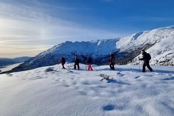 Bergen Snowshoe Hike: Guided Winter Adventure, Norway