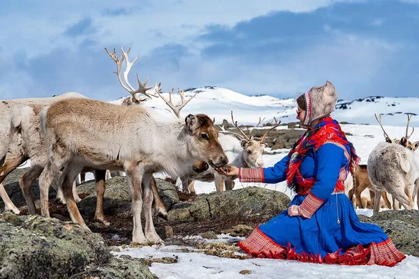 Kautokeino Reindeer Safari: Arctic Meal & Sámi Culture