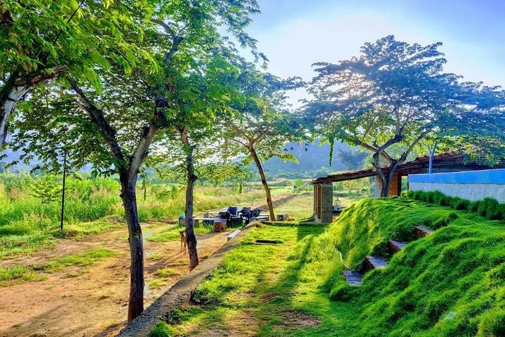 Experience Image img1