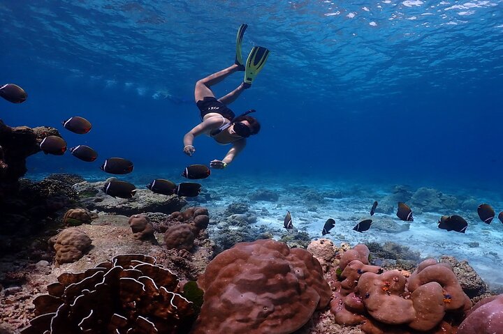 Discover Paradise: Similan Islands Speedboat Adventure from Phuket