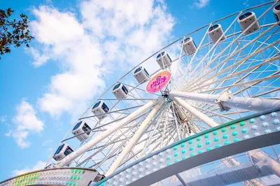 Melbourne Skyline Adventure: Ferris Wheel, Mini Golf & Social Fun!