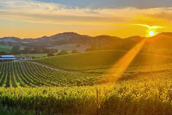 Unforgettable Napa & Sonoma Wine Tour with Professional Photography