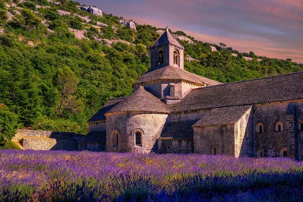 Lavender Route: Avignon Day Trip