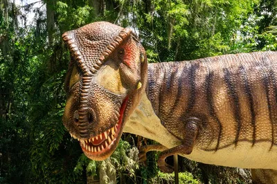 Roar into Adventure: Dinosaur World Theme Park