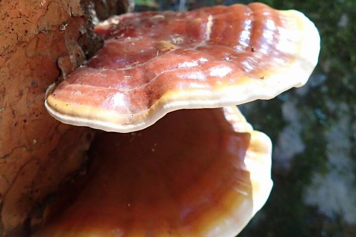 Experience Image img4