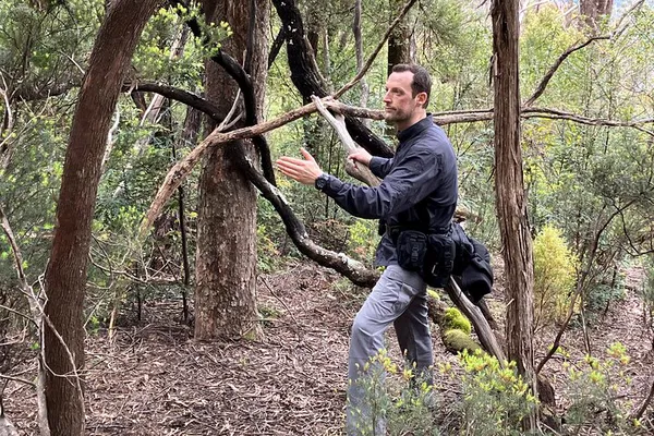 Bushcraft Survival Skills: Learn to Survive in the Wild