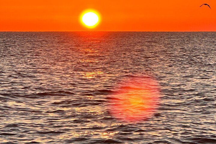 Experience Image img1