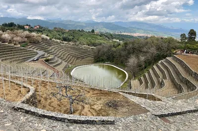 Etna Wine Tour: Volcanic Views & Sicilian Vines