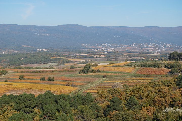 Experience Image img4