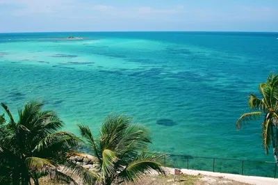 Key West Adventure: Small-Group Tour from Miami