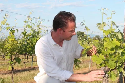 Aix-en-Provence: Wine Tour & Scenic Provence Escape