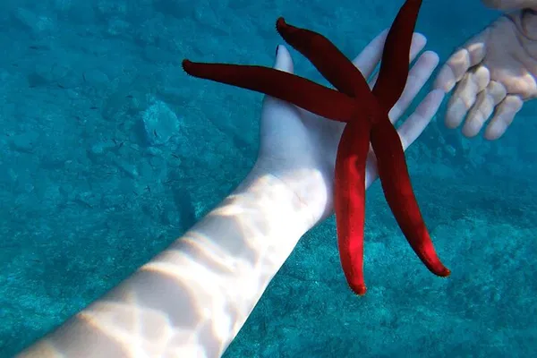 Taormina Boat Tour: Snorkel Isola Bella & Aperitif