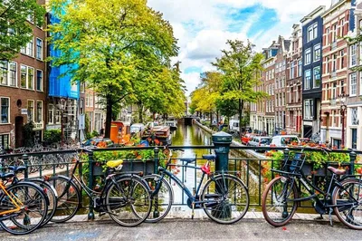 Amsterdam Art & History Blitz: Flight Crew's Rijksmuseum & City Center Tour