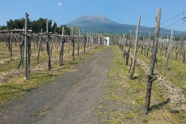 img0