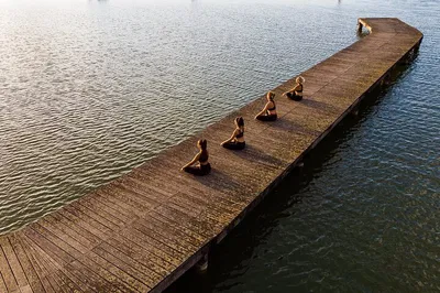 Lakeside Serenity: Yoga & Picnic Bliss at Lake Chiusi